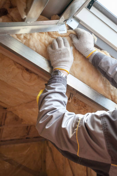 Best Insulation Maintenance and Repair in Sea Girt, NJ